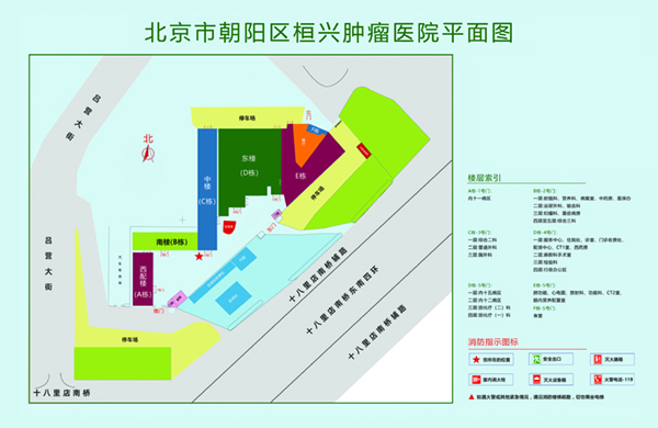 骚逼骚货日逼视频北京市朝阳区桓兴肿瘤医院平面图